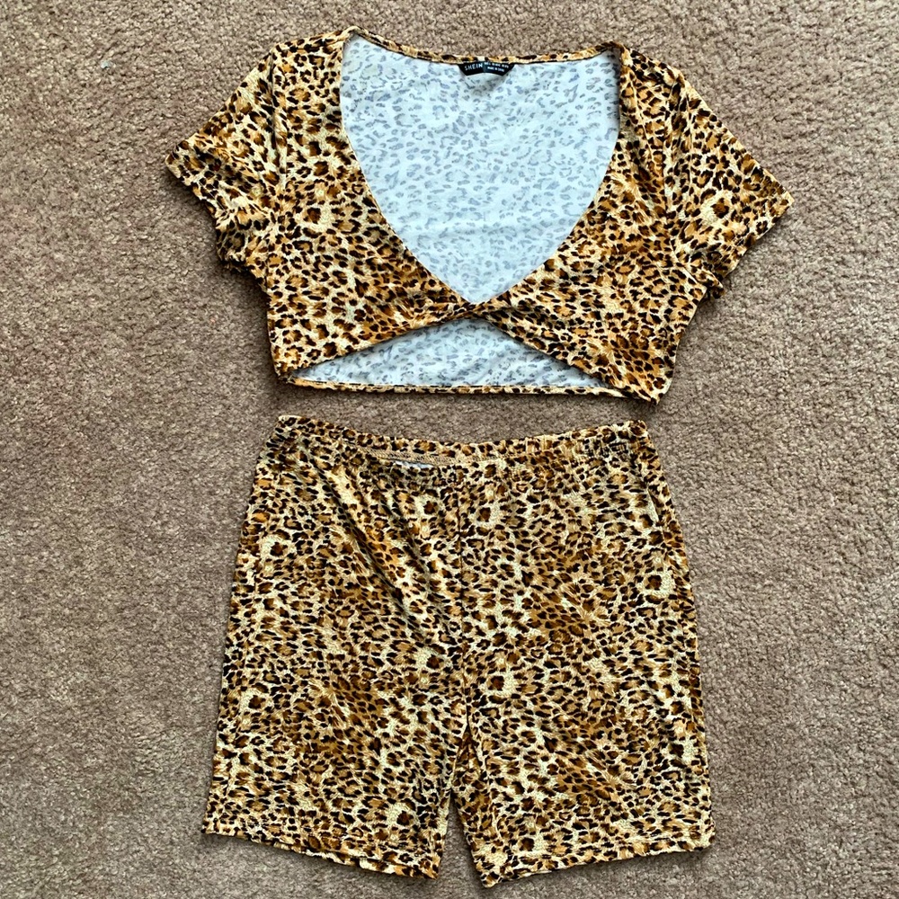 Two Piece cheetah crop top